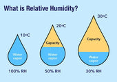 Do Fish Tanks Increase Humidity?