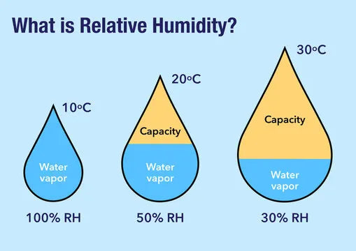 Do Fish Tanks Increase Humidity?