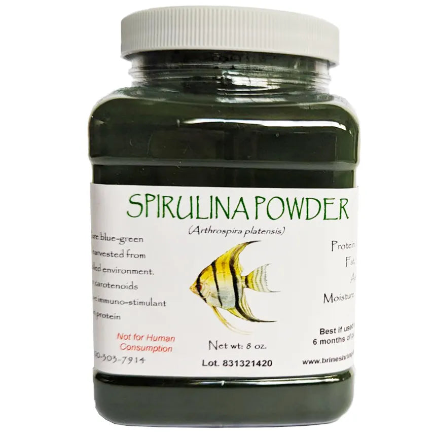 A Complete Guide On Spirulina